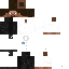 Elegant Steve