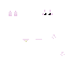 Pinks and white cat :3