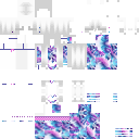 ♡ | Skin 293 | exports