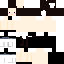 minecraftskinn