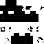 Black/white simple skin