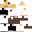 Skin do teto