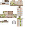 I broke an iron golem