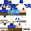 Pirate Sonic