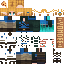 ✹Link ( The Legend of Zelda: Tears of the Kingdom )  Minecraft Skin✹