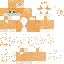 orange cat skin