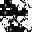 Simple black white stars