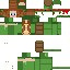 TurtleMaster243