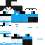 Summer Penguin Skin