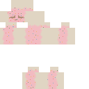Poptart skin for POPTART64