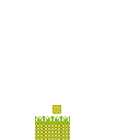 Pineapple - Leg Skin