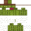 ElCactus skin 1