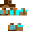 steve without texture