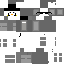 SB737 Minecraft Skin