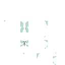 Butterfly 🦋 Green 🌱