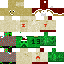 Minecraft skin 2026 Christmas
