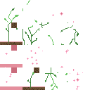 Pink flower plant 🌸 ピンクの花 🌸