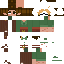Aster skin v.2
